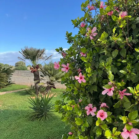 Holiday home Mae Favignana